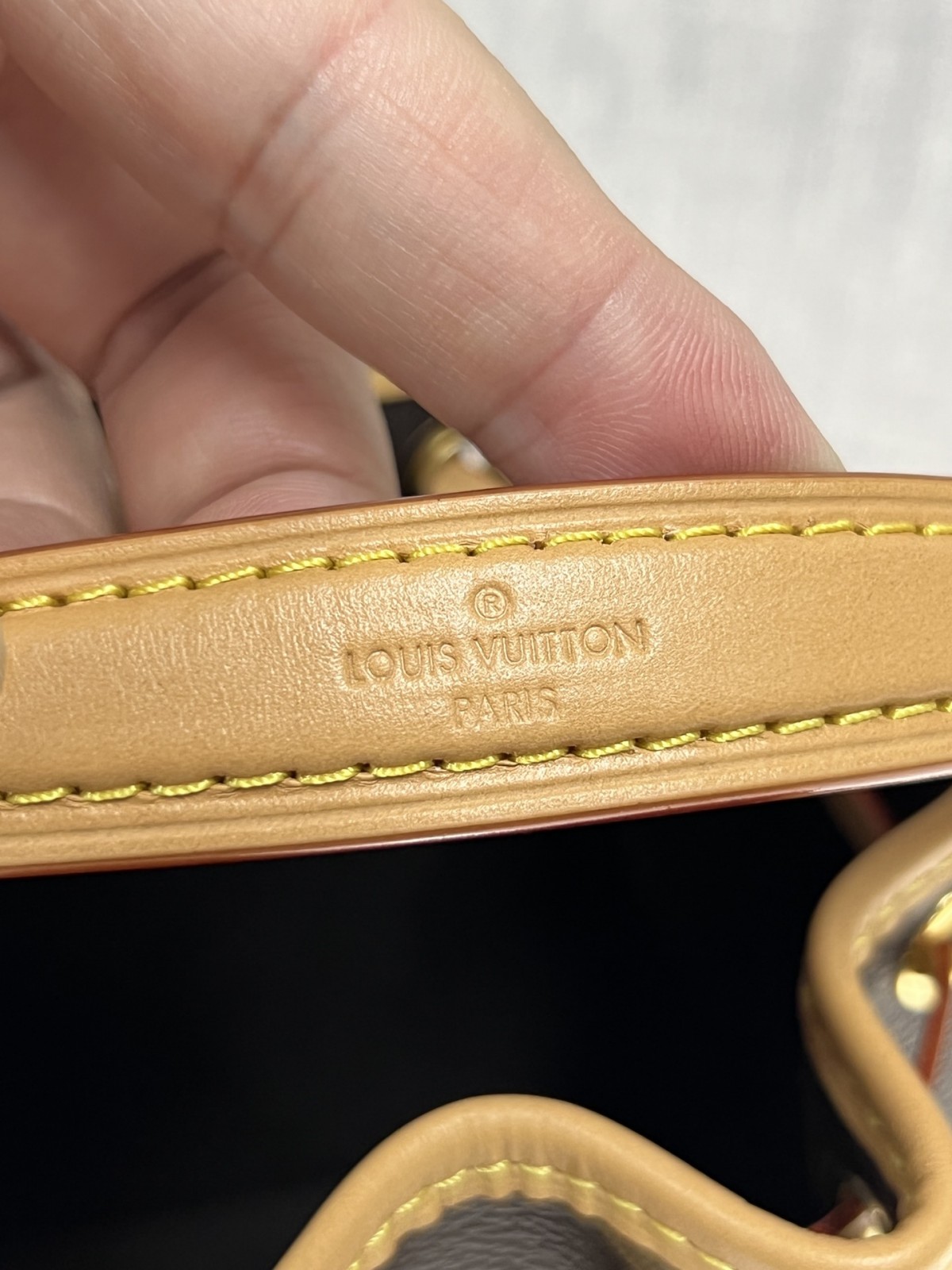 Shebag Super replica Louis Vuitton M81266 Mini NANO NOÉ bag review (2025 July Updated)-Best Quality Fake Louis Vuitton Bag Online Store, Replica designer bag ru