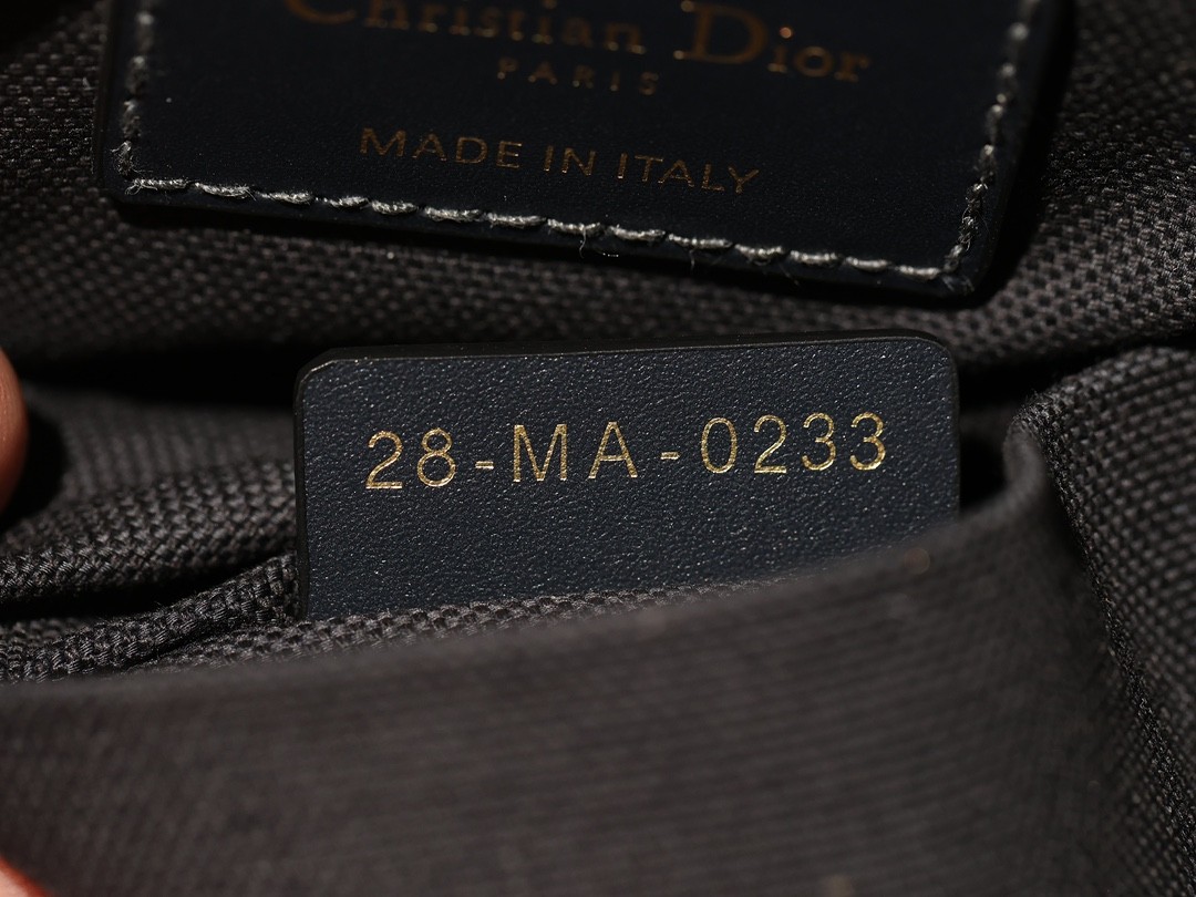Shebag Dior super replica medium size C’EST DIOR bag review(2025 July updated)-Najlepsza jakość fałszywych torebek Louis Vuitton Sklep internetowy, projektant repliki torebki ru