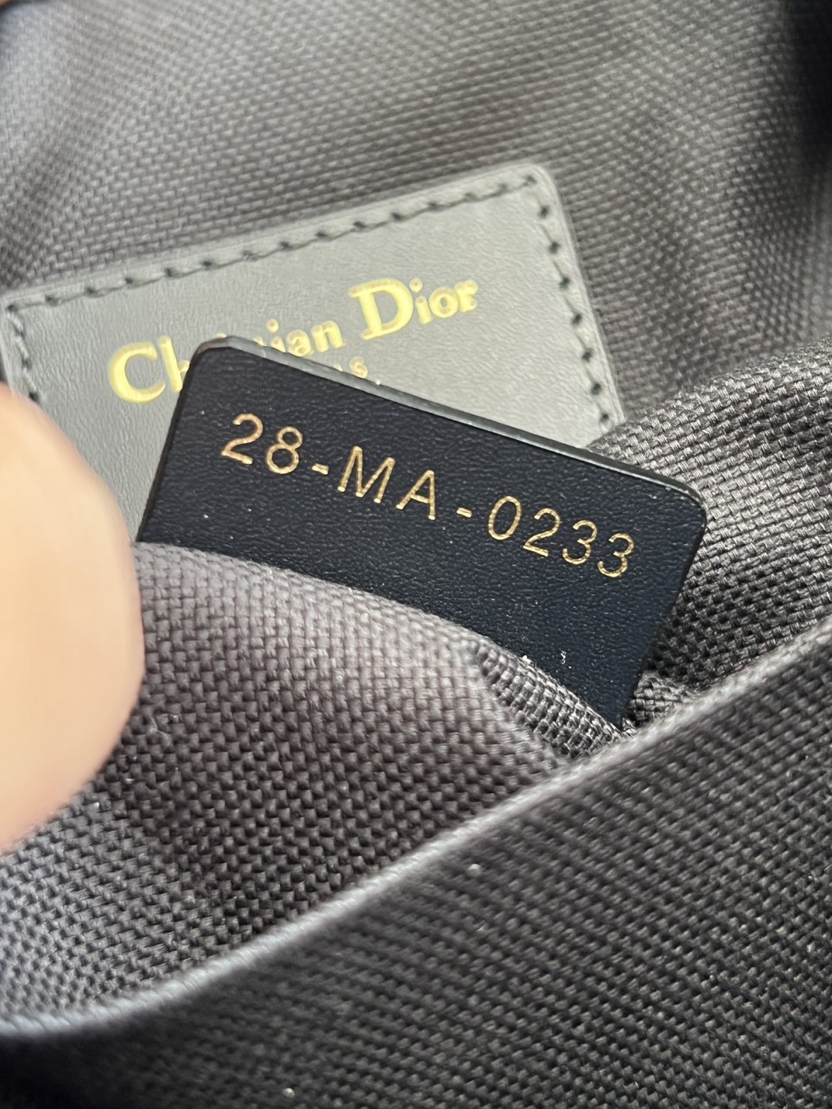 Shebag Dior super replica medium size C’EST DIOR bag review(2025 July updated)-Najlepsza jakość fałszywych torebek Louis Vuitton Sklep internetowy, projektant repliki torebki ru