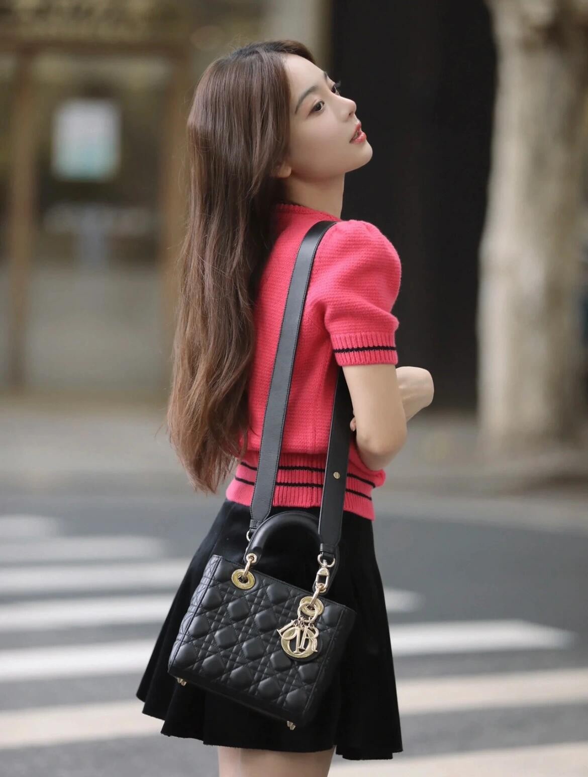 Shebag Super replica Lady Dior Small size in black bag review (2025 July Updated)-Yakanakisa Hunhu Fake Louis Vuitton Bag Online Store, Replica dhizaini bag ru