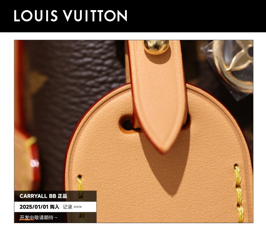 Shebag Super Replica Louis Vuitton carryall BB bag review(2025 July updated)-उत्तम गुणवत्ता नकली लुई Vuitton बैग ऑनलाइन स्टोर, प्रतिकृति डिजाइनर बैग ru