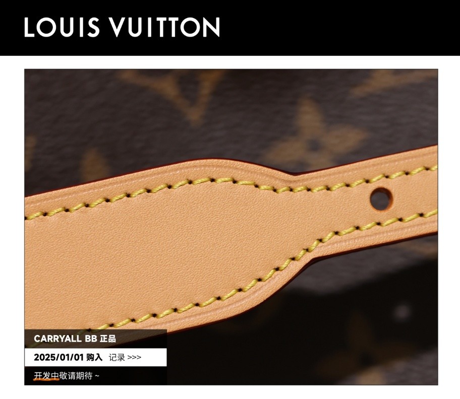 Shebag Super Replica Louis Vuitton carryall BB bag review(2025 July updated)-उत्तम गुणवत्ता नकली लुई Vuitton बैग ऑनलाइन स्टोर, प्रतिकृति डिजाइनर बैग ru