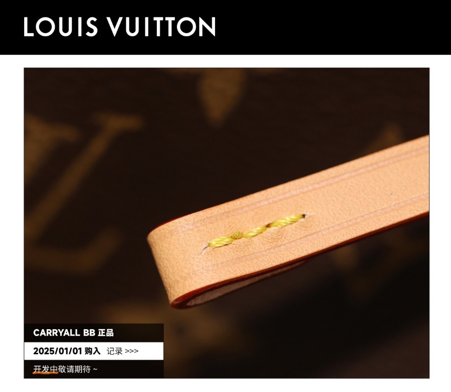 Shebag Super Replica Louis Vuitton carryall BB bag review(2025 July updated)-उत्तम गुणवत्ता नकली लुई Vuitton बैग ऑनलाइन स्टोर, प्रतिकृति डिजाइनर बैग ru
