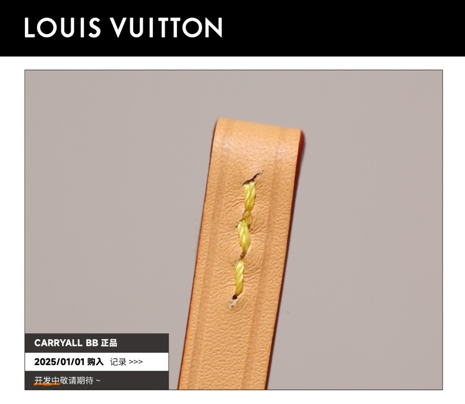 Shebag Super Replica Louis Vuitton carryall BB bag review(2025 July updated)-उत्तम गुणवत्ता नकली लुई Vuitton बैग ऑनलाइन स्टोर, प्रतिकृति डिजाइनर बैग ru