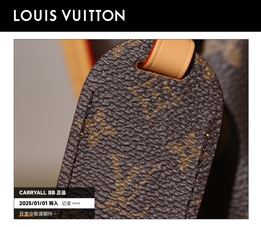 Shebag Super Replica Louis Vuitton carryall BB bag review(2025 July updated)-उत्तम गुणवत्ता नकली लुई Vuitton बैग ऑनलाइन स्टोर, प्रतिकृति डिजाइनर बैग ru