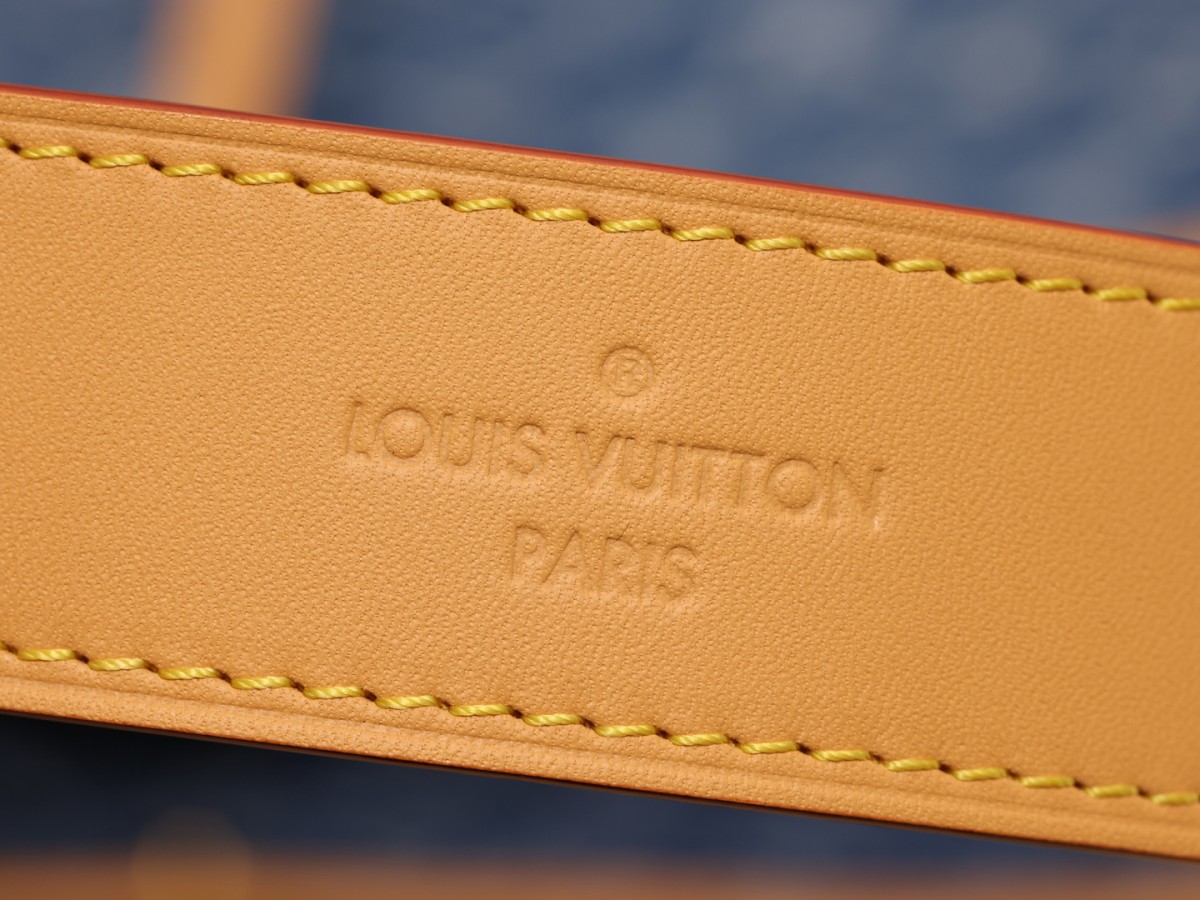Shebag Super Replica Louis Vuitton Carryall Denim bag review(August 2025 Updated)-Best Quality Fake Louis Vuitton Bag Online Store, Replica designer bag ru