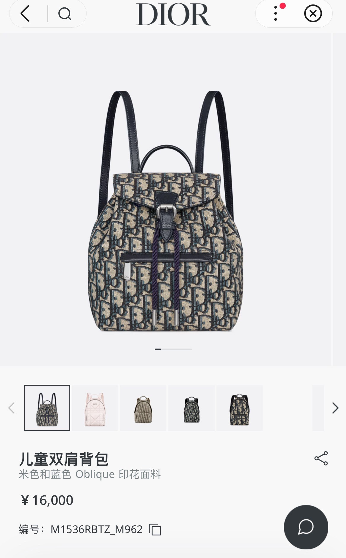Shebag Super replica Dior backpack bag review (August 2025 updated)-മികച്ച ഗുണനിലവാരമുള്ള വ്യാജ ലൂയിസ് വിറ്റൺ ബാഗ് ഓൺലൈൻ സ്റ്റോർ, റെപ്ലിക്ക ഡിസൈനർ ബാഗ് ru