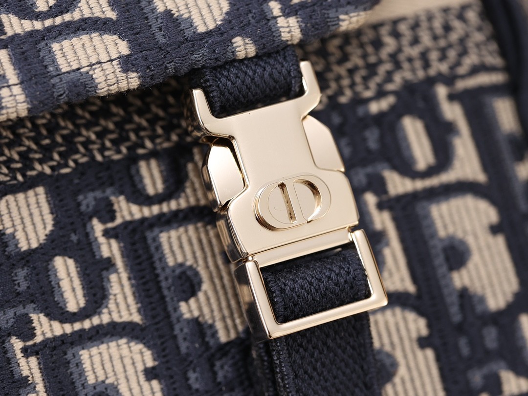 Shebag Super replica Dior Camp bag review(August 2025 Updated)-Best Quality Fake Louis Vuitton Bag Online Store, Replica designer bag ru