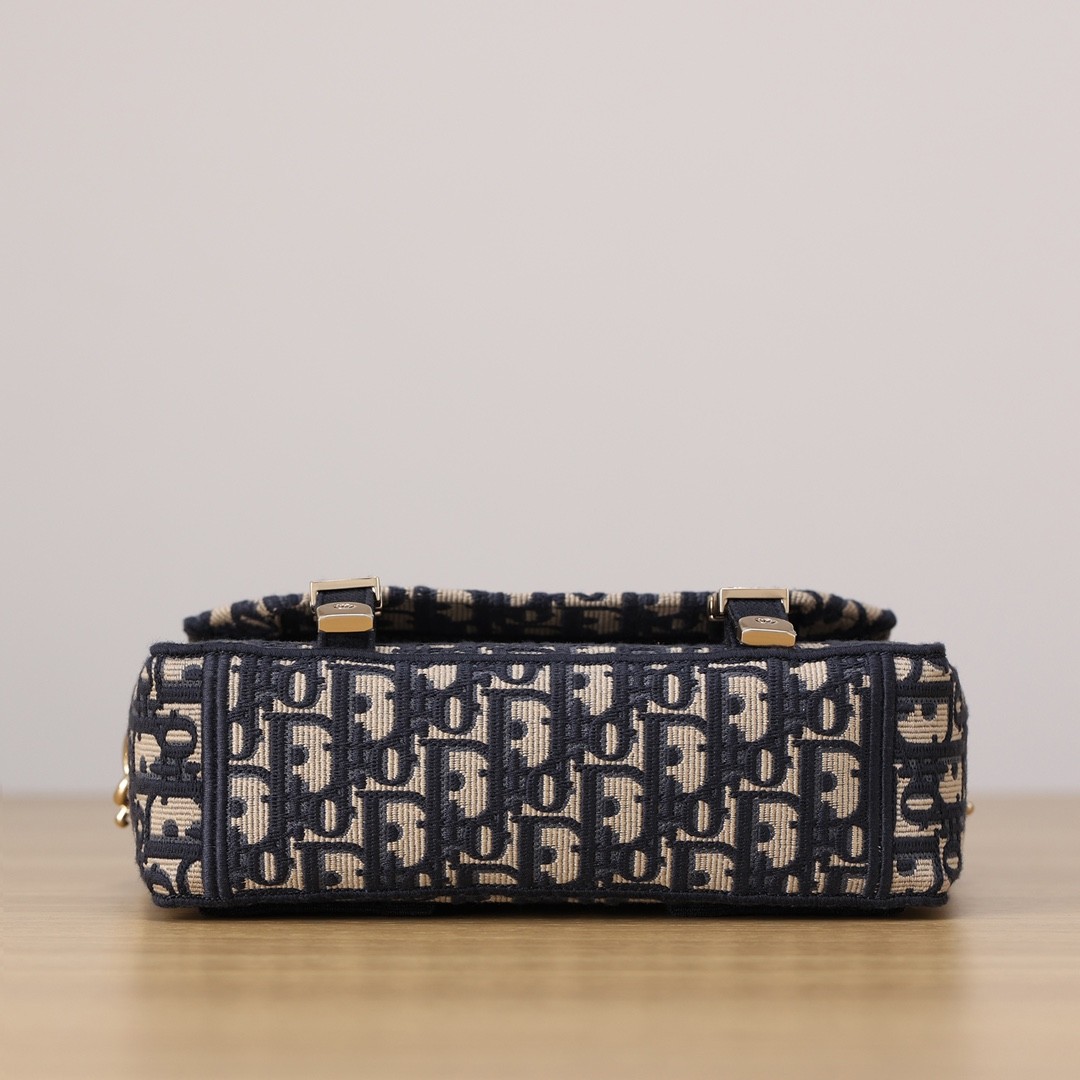 Shebag Super replica Dior Camp bag review(August 2025 Updated)-Best Quality Fake Louis Vuitton Bag Online Store, Replica designer bag ru