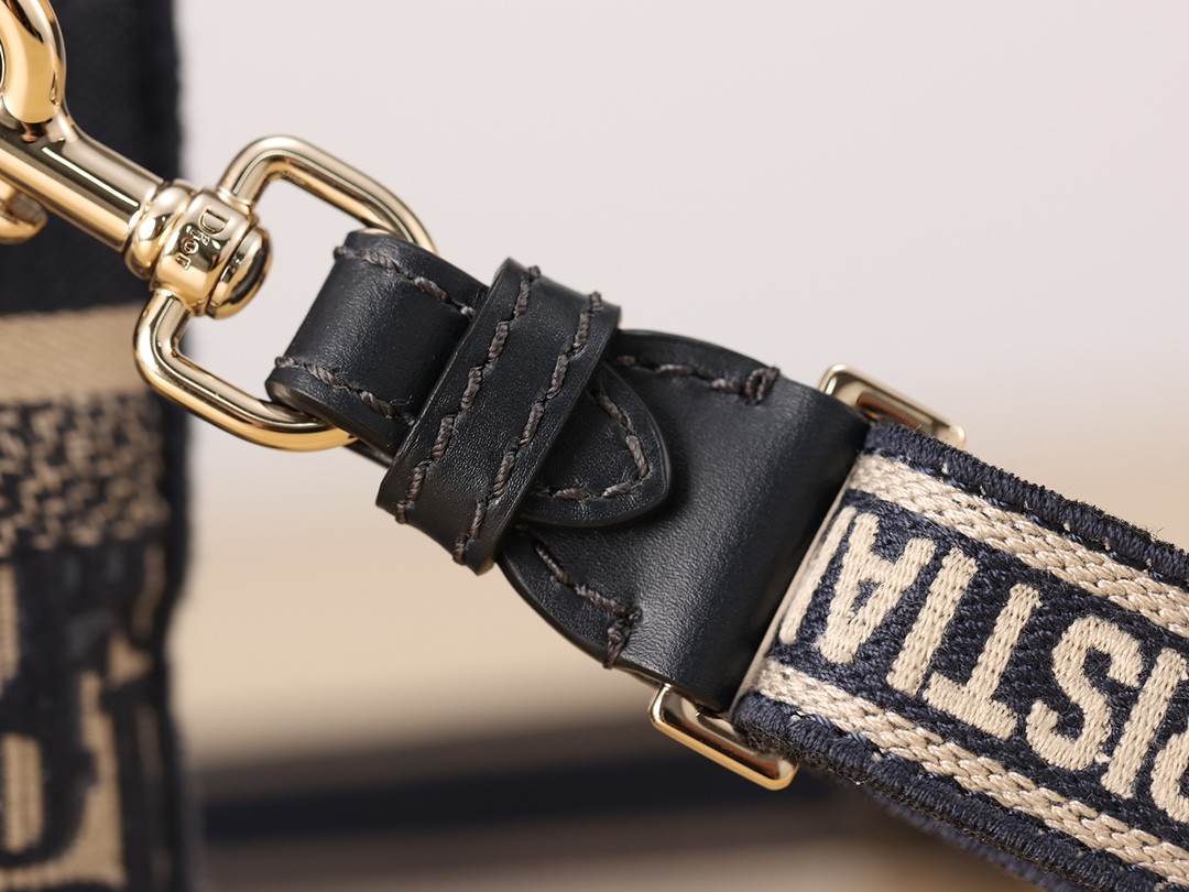 Shebag Super replica Dior Camp bag review(August 2025 Updated)-Best Quality Fake Louis Vuitton Bag Online Store, Replica designer bag ru