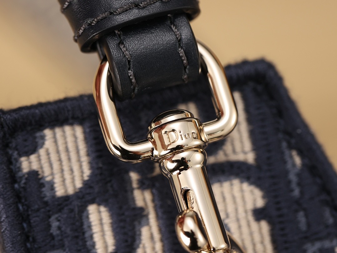 Shebag Super replica Dior Camp bag review(August 2025 Updated)-Best Quality Fake Louis Vuitton Bag Online Store, Replica designer bag ru