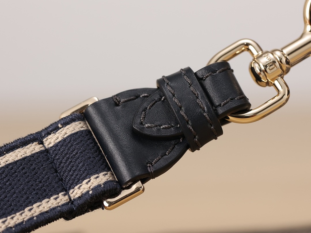 Shebag Super replica Dior Camp bag review(August 2025 Updated)-Best Quality Fake Louis Vuitton Bag Online Store, Replica designer bag ru