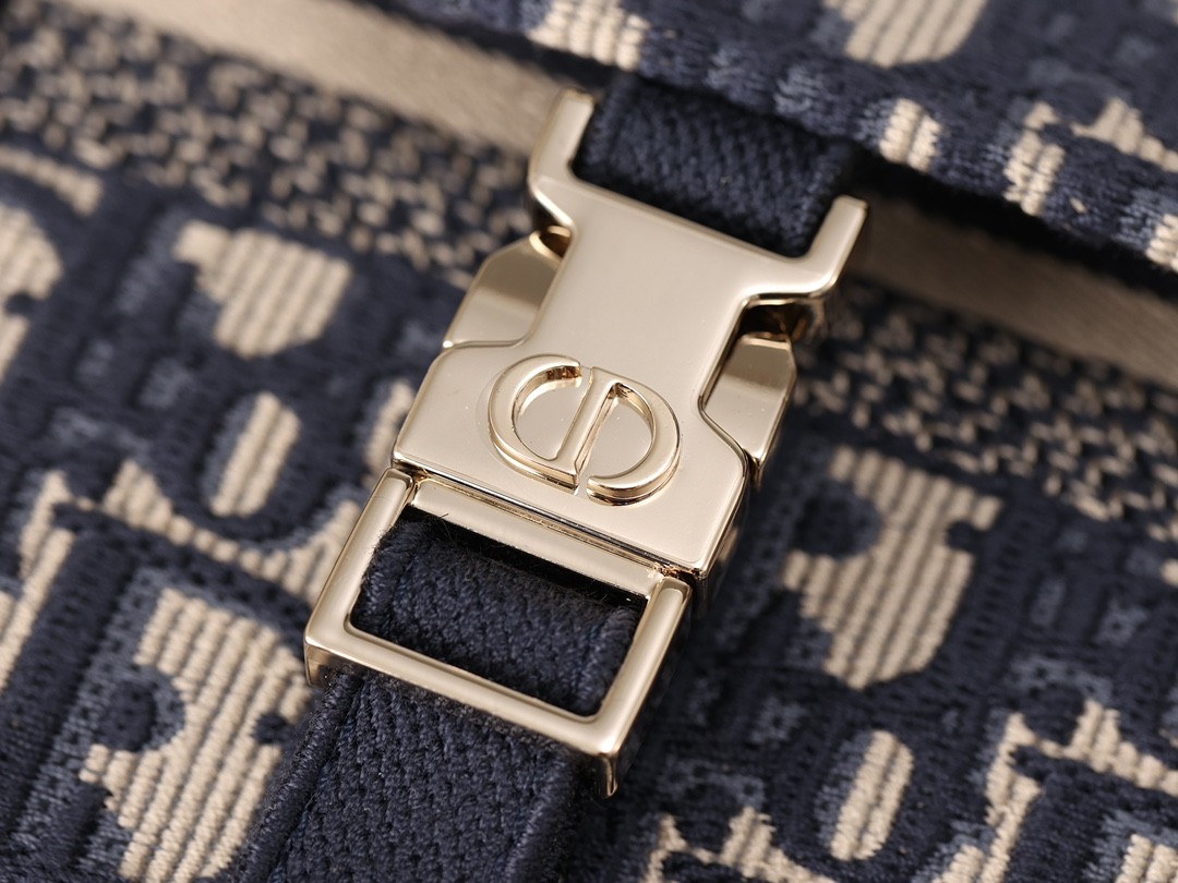 Shebag Super replica Dior Camp bag review(August 2025 Updated)-Best Quality Fake Louis Vuitton Bag Online Store, Replica designer bag ru
