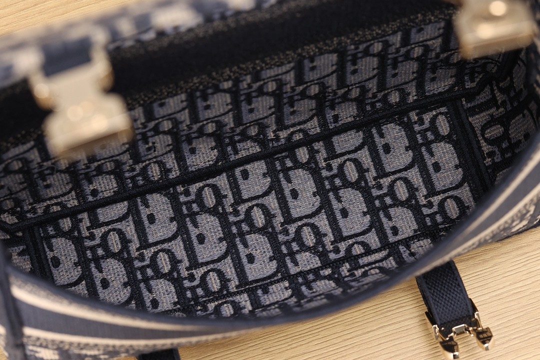 Shebag Super replica Dior Camp bag review(August 2025 Updated)-Best Quality Fake Louis Vuitton Bag Online Store, Replica designer bag ru
