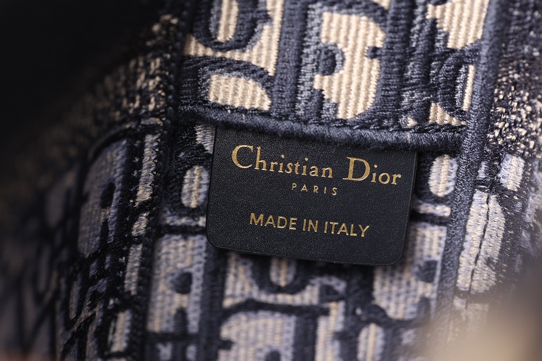 Shebag Super replica Dior Camp bag review(August 2025 Updated)-Best Quality Fake Louis Vuitton Bag Online Store, Replica designer bag ru