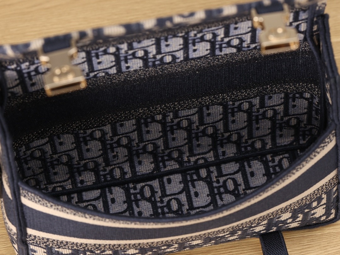 Shebag Super replica Dior Camp bag review(August 2025 Updated)-Best Quality Fake Louis Vuitton Bag Online Store, Replica designer bag ru