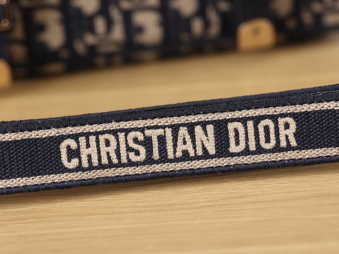 Shebag Super replica Dior Camp bag review(August 2025 Updated)-Best Quality Fake Louis Vuitton Bag Online Store, Replica designer bag ru