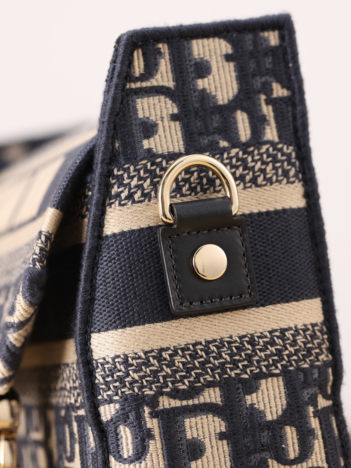 Shebag Super replica Dior Camp bag review(August 2025 Updated)-Best Quality Fake Louis Vuitton Bag Online Store, Replica designer bag ru