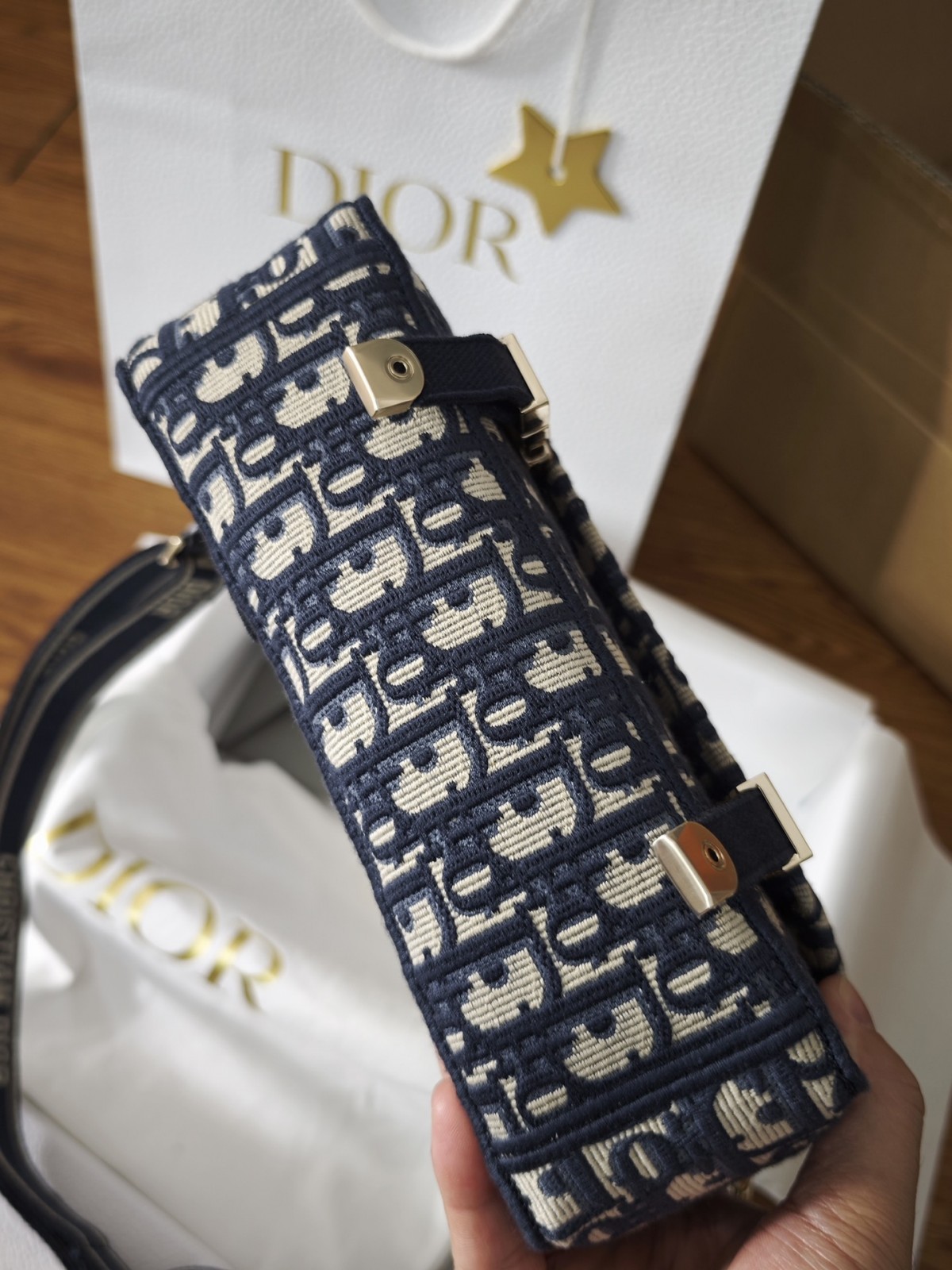 Shebag Super replica Dior Camp bag review(August 2025 Updated)-Best Quality Fake Louis Vuitton Bag Online Store, Replica designer bag ru