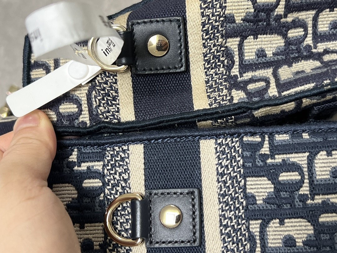 Shebag Super replica Dior Camp bag review(August 2025 Updated)-Best Quality Fake Louis Vuitton Bag Online Store, Replica designer bag ru