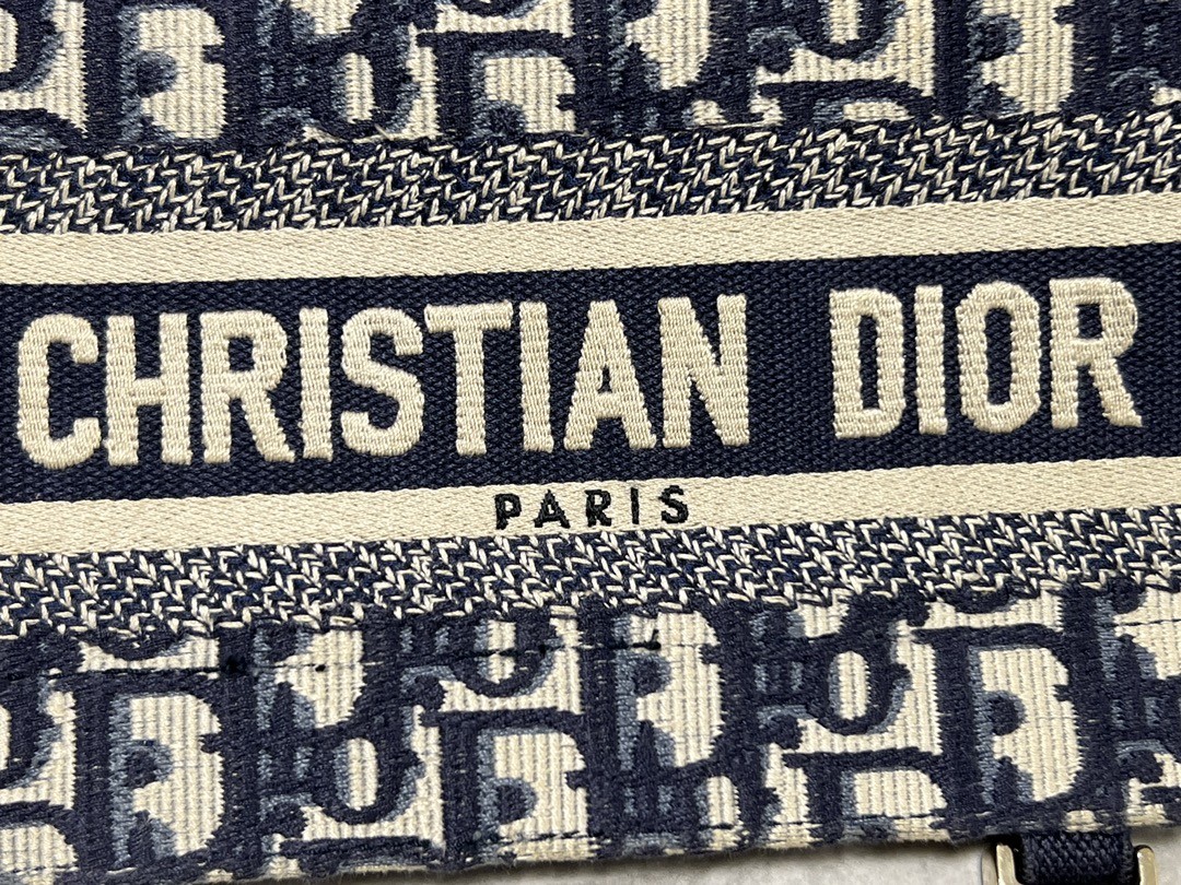 Shebag Super replica Dior Camp bag review(August 2025 Updated)-Best Quality Fake Louis Vuitton Bag Online Store, Replica designer bag ru