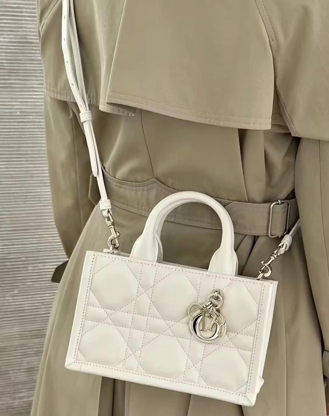 Shebag super replica Dior Mini tote bag white and black review(August 2025 updated)-Best Quality Fake designer Bag Review, Replica designer bag ru