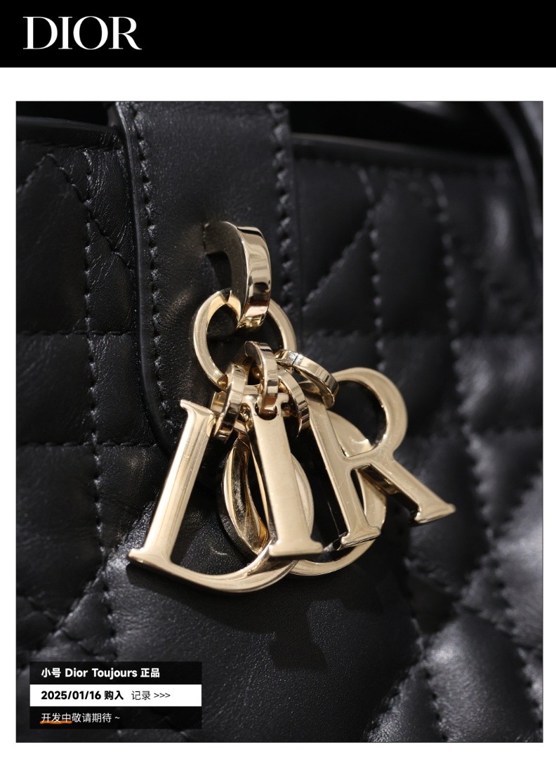 Shebag Super replica Dior Toujours bag details research(August 2025 updated)-Интернет-магазин поддельной сумки Louis Vuitton лучшего качества, копия дизайнерской сумки ru