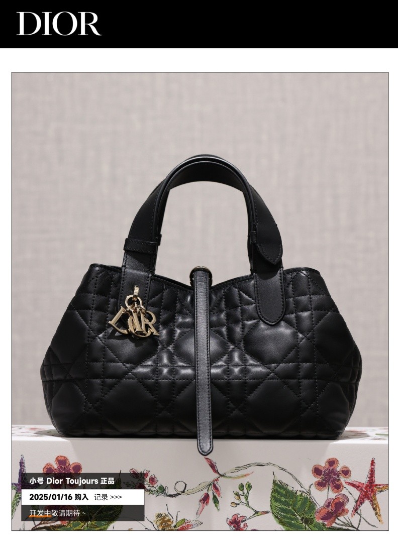 Shebag Super replica Dior Toujours bag details research(August 2025 updated)-Интернет-магазин поддельной сумки Louis Vuitton лучшего качества, копия дизайнерской сумки ru