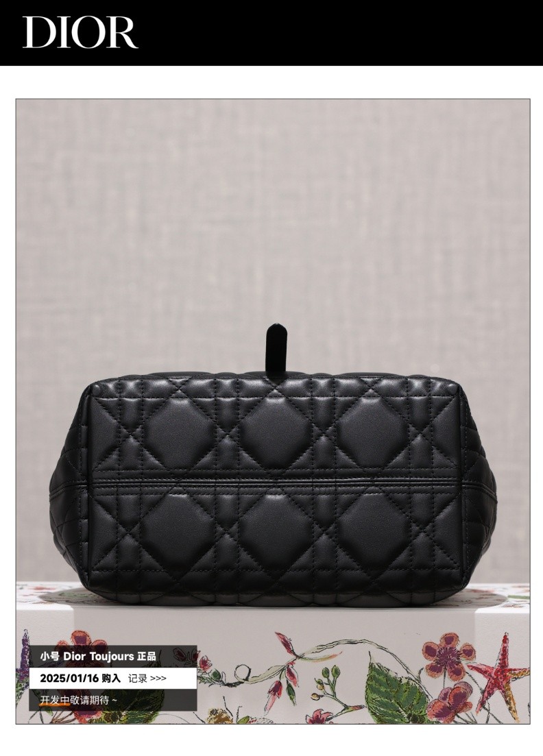 Shebag Super replica Dior Toujours bag details research(August 2025 updated)-Интернет-магазин поддельной сумки Louis Vuitton лучшего качества, копия дизайнерской сумки ru