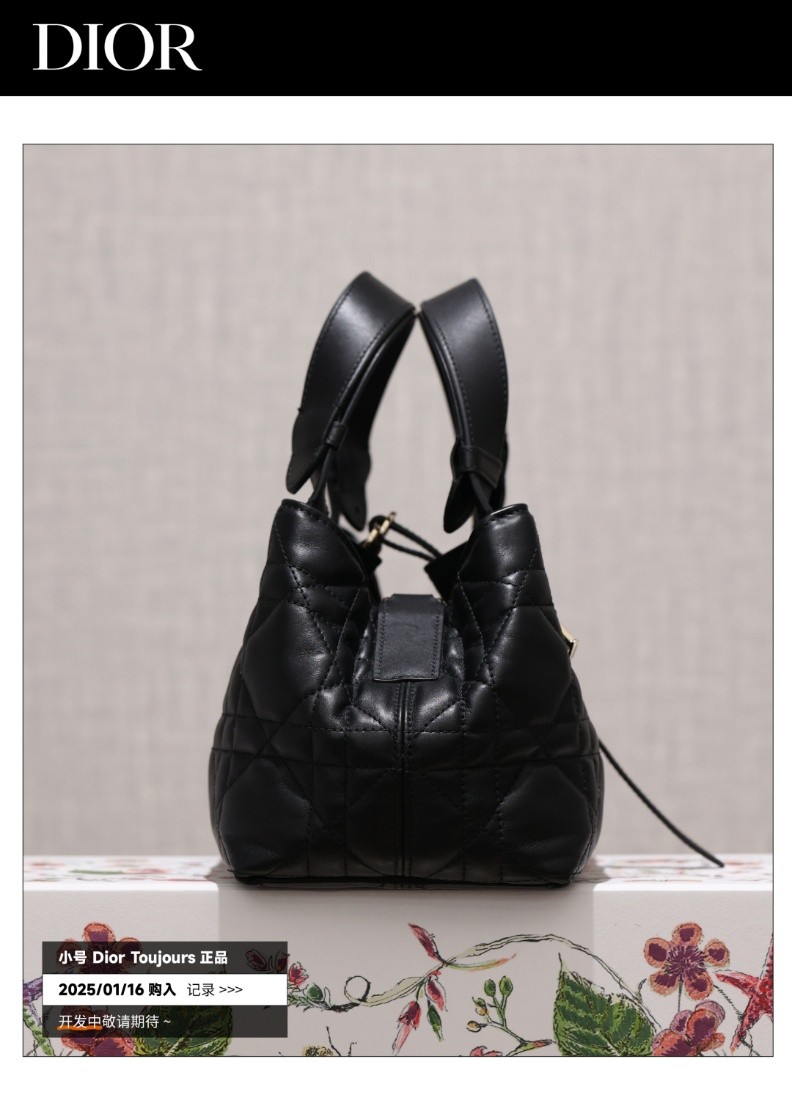 Shebag Super replica Dior Toujours bag details research(August 2025 updated)-Интернет-магазин поддельной сумки Louis Vuitton лучшего качества, копия дизайнерской сумки ru