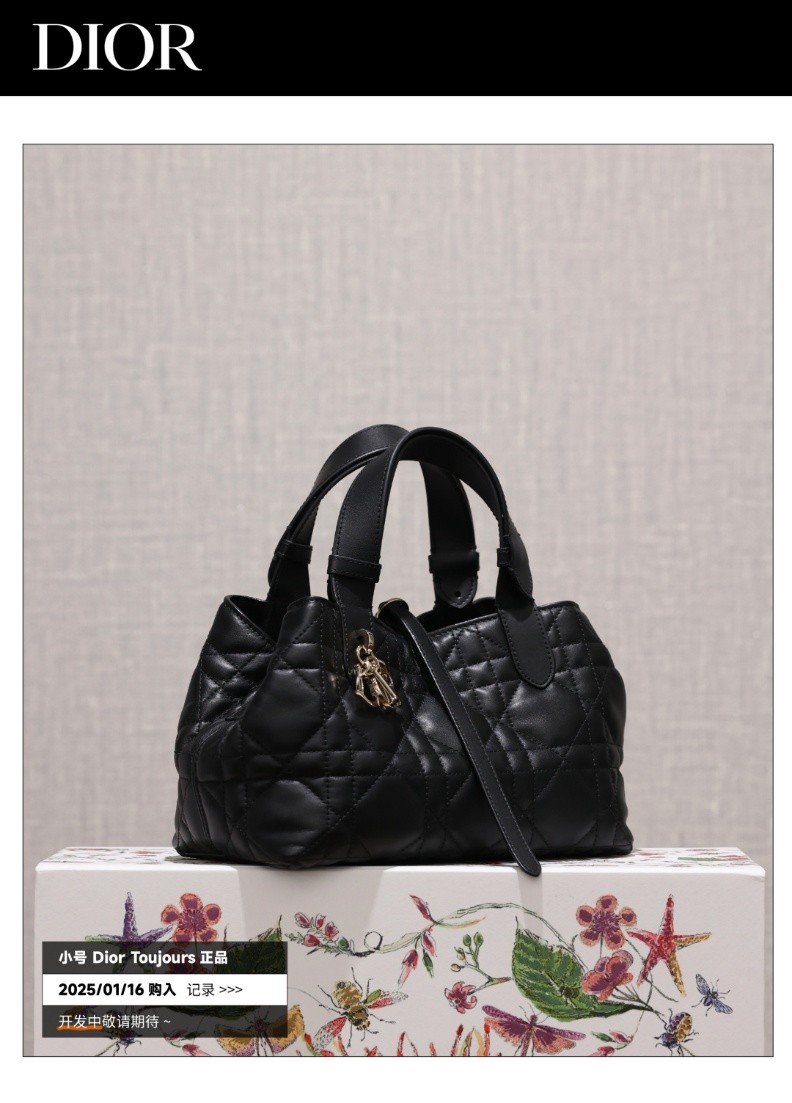 Shebag Super replica Dior Toujours bag details research(August 2025 updated)-Интернет-магазин поддельной сумки Louis Vuitton лучшего качества, копия дизайнерской сумки ru