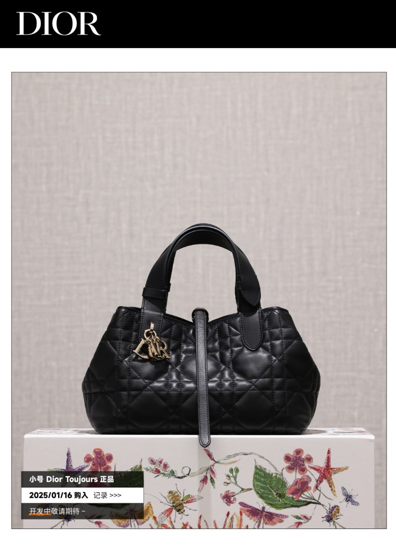 Shebag Super replica Dior Toujours bag details research(August 2025 updated)-Интернет-магазин поддельной сумки Louis Vuitton лучшего качества, копия дизайнерской сумки ru