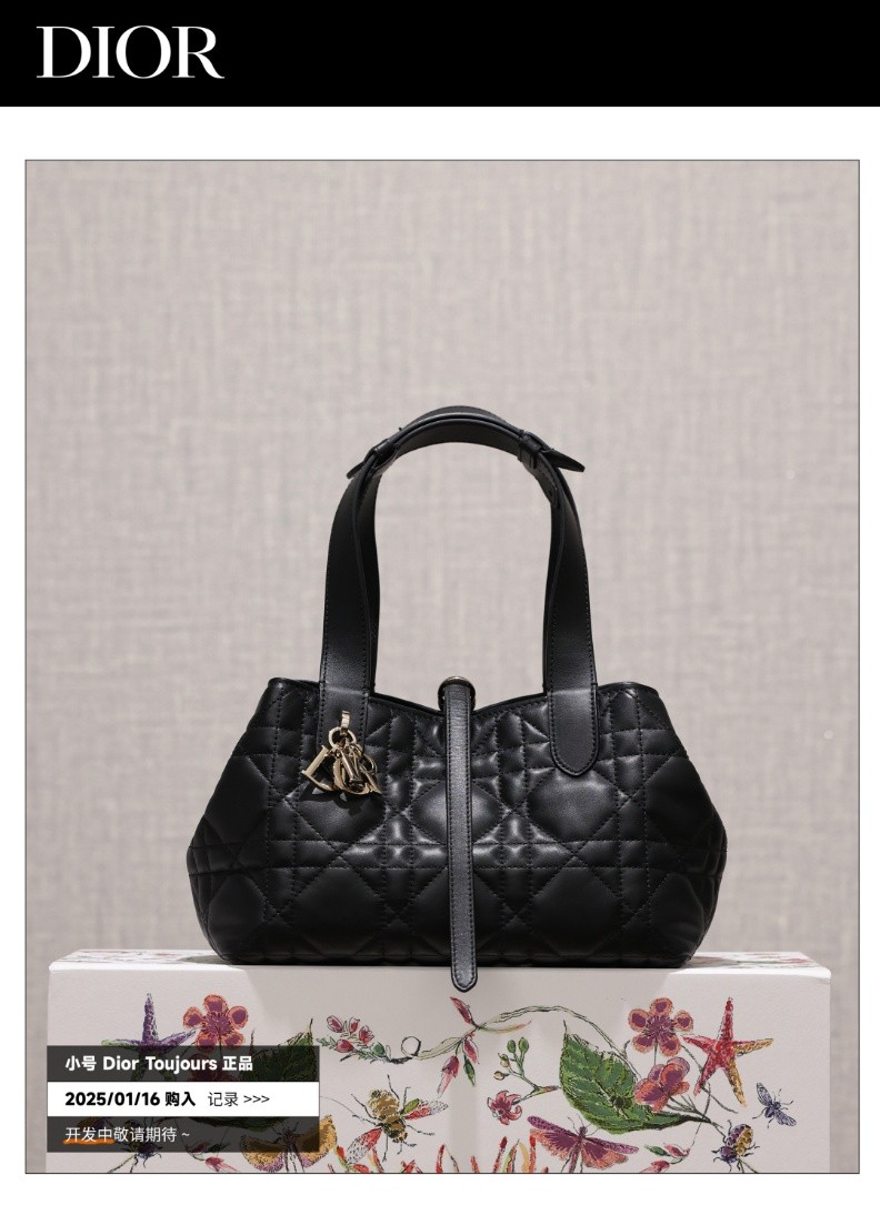 Shebag Super replica Dior Toujours bag details research(August 2025 updated)-Интернет-магазин поддельной сумки Louis Vuitton лучшего качества, копия дизайнерской сумки ru