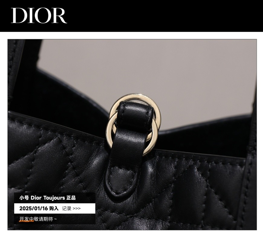 Shebag Super replica Dior Toujours bag details research(August 2025 updated)-Интернет-магазин поддельной сумки Louis Vuitton лучшего качества, копия дизайнерской сумки ru