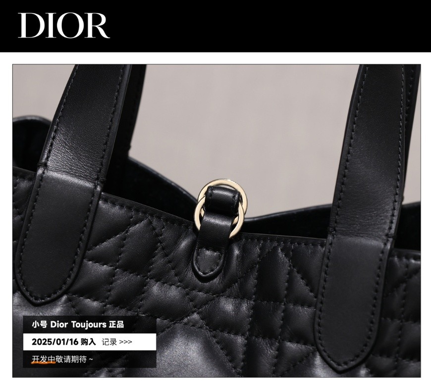 Shebag Super replica Dior Toujours bag details research(August 2025 updated)-Интернет-магазин поддельной сумки Louis Vuitton лучшего качества, копия дизайнерской сумки ru