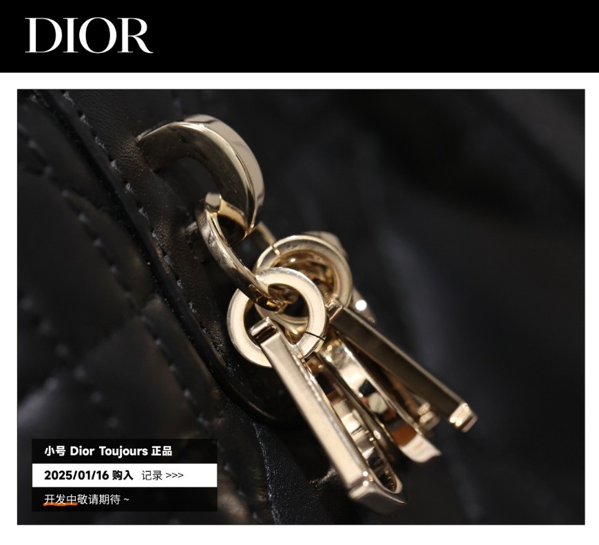 Shebag Super replica Dior Toujours bag details research(August 2025 updated)-Интернет-магазин поддельной сумки Louis Vuitton лучшего качества, копия дизайнерской сумки ru