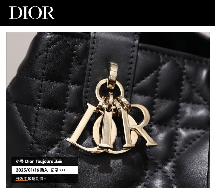 Shebag Super replica Dior Toujours bag details research(August 2025 updated)-Интернет-магазин поддельной сумки Louis Vuitton лучшего качества, копия дизайнерской сумки ru