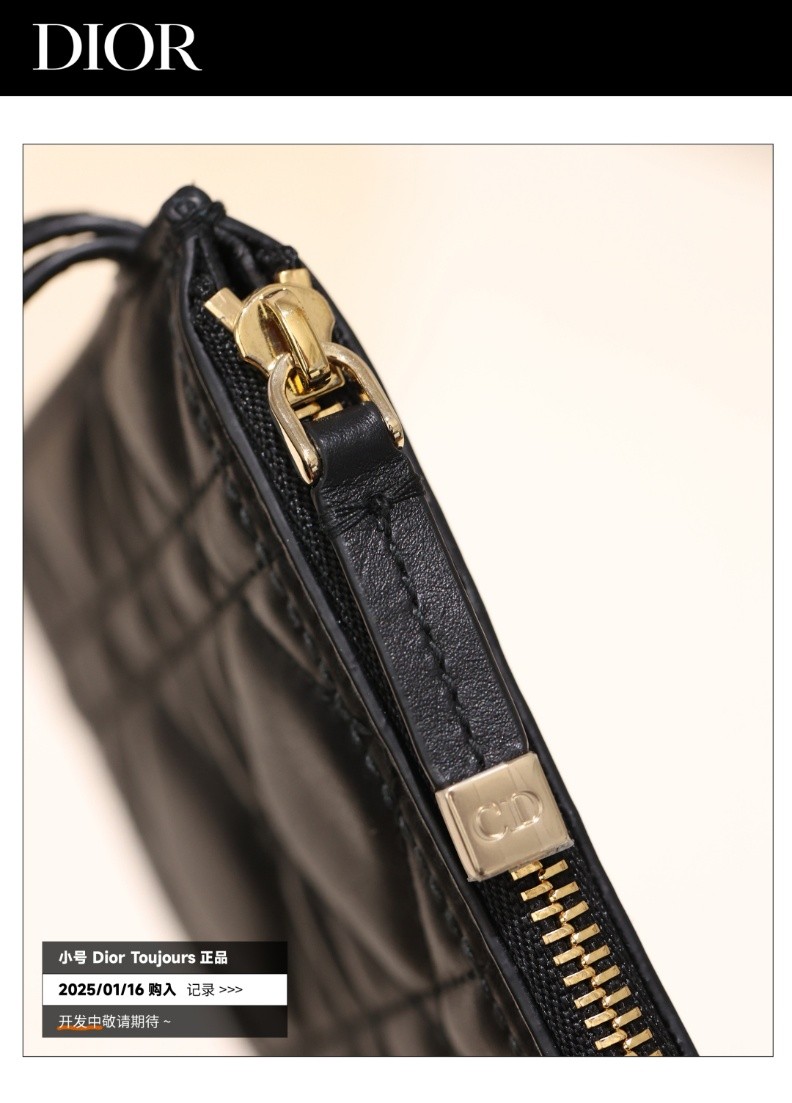 Shebag Super replica Dior Toujours bag details research(August 2025 updated)-Интернет-магазин поддельной сумки Louis Vuitton лучшего качества, копия дизайнерской сумки ru