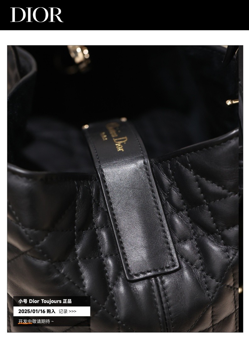 Shebag Super replica Dior Toujours bag details research(August 2025 updated)-Интернет-магазин поддельной сумки Louis Vuitton лучшего качества, копия дизайнерской сумки ru