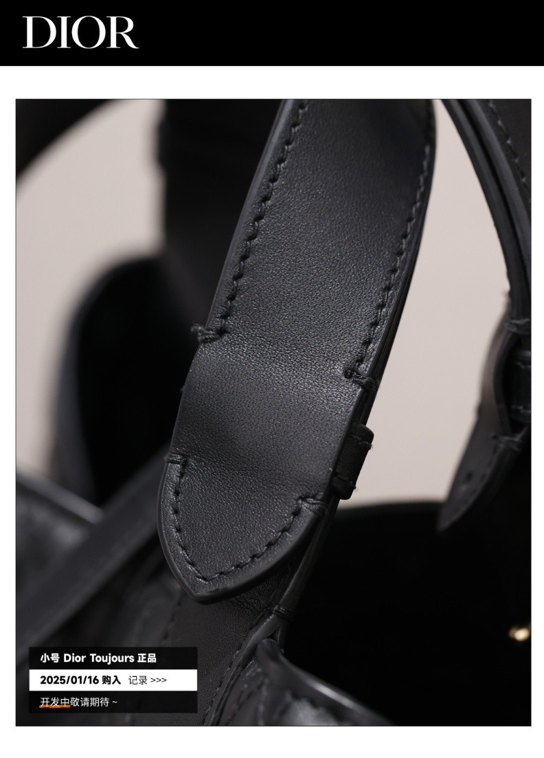 Shebag Super replica Dior Toujours bag details research(August 2025 updated)-Интернет-магазин поддельной сумки Louis Vuitton лучшего качества, копия дизайнерской сумки ru