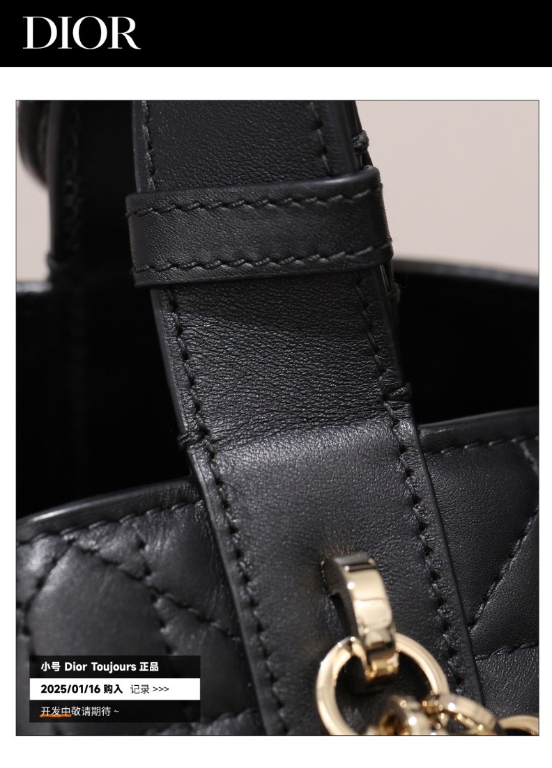 Shebag Super replica Dior Toujours bag details research(August 2025 updated)-Интернет-магазин поддельной сумки Louis Vuitton лучшего качества, копия дизайнерской сумки ru