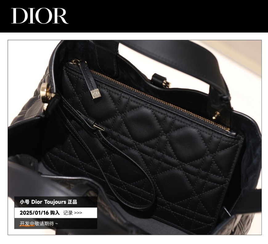 Shebag Super replica Dior Toujours bag details research(August 2025 updated)-Интернет-магазин поддельной сумки Louis Vuitton лучшего качества, копия дизайнерской сумки ru