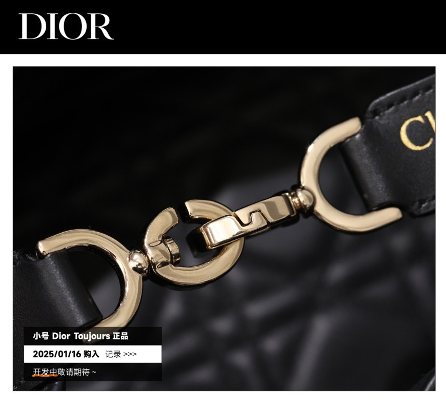 Shebag Super replica Dior Toujours bag details research(August 2025 updated)-Интернет-магазин поддельной сумки Louis Vuitton лучшего качества, копия дизайнерской сумки ru