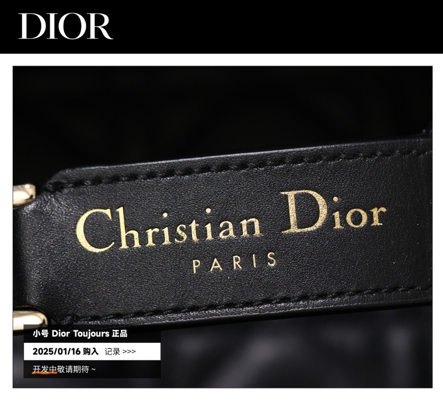 Shebag Super replica Dior Toujours bag details research(August 2025 updated)-Интернет-магазин поддельной сумки Louis Vuitton лучшего качества, копия дизайнерской сумки ru