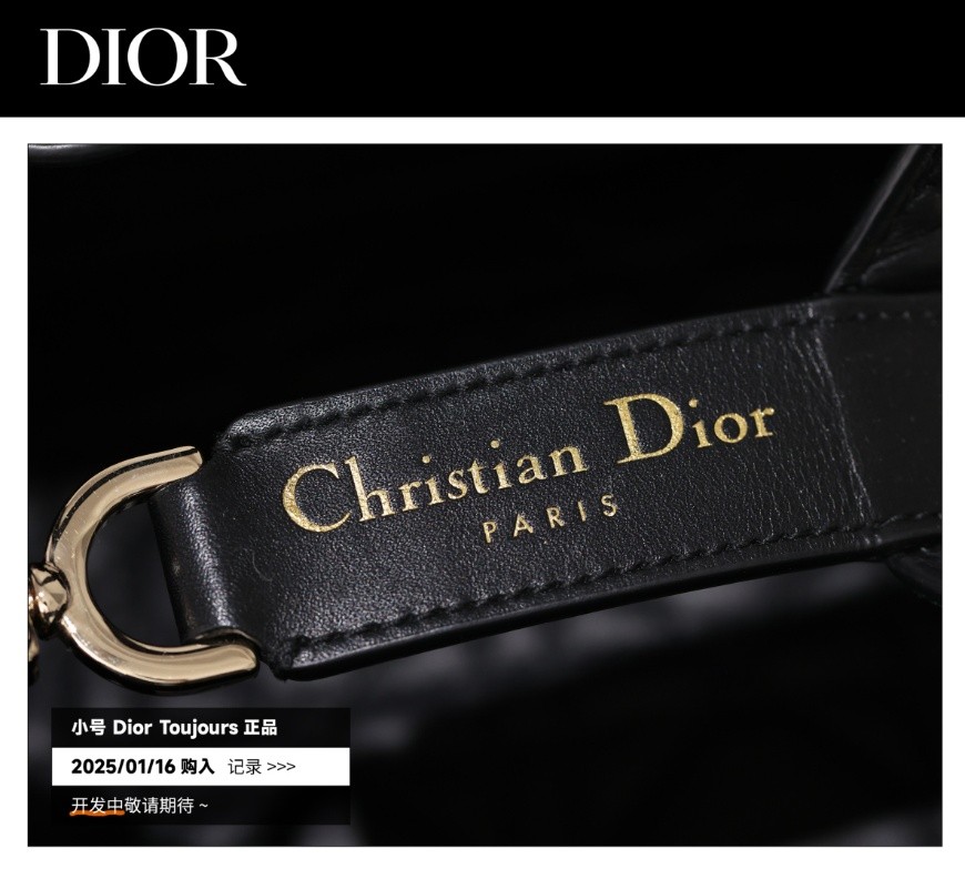 Shebag Super replica Dior Toujours bag details research(August 2025 updated)-Интернет-магазин поддельной сумки Louis Vuitton лучшего качества, копия дизайнерской сумки ru