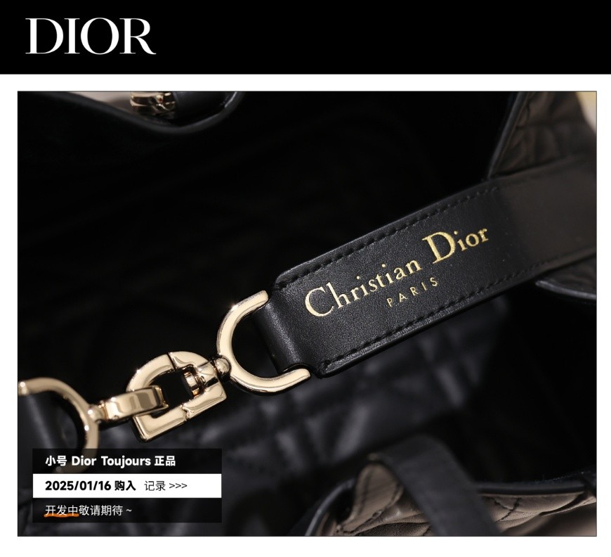 Shebag Super replica Dior Toujours bag details research(August 2025 updated)-Интернет-магазин поддельной сумки Louis Vuitton лучшего качества, копия дизайнерской сумки ru