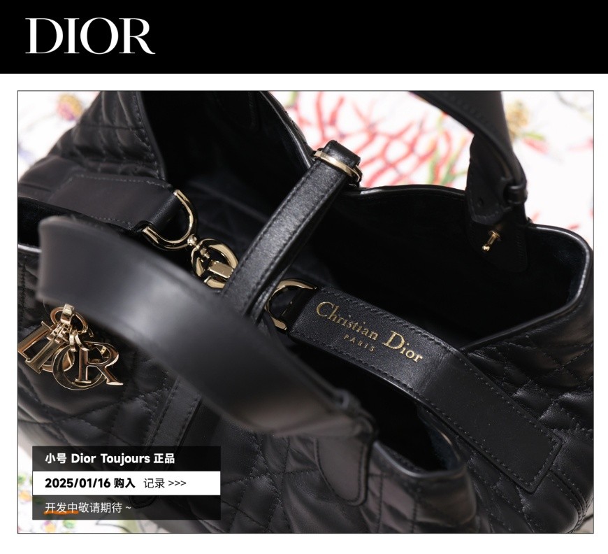Shebag Super replica Dior Toujours bag details research(August 2025 updated)-Интернет-магазин поддельной сумки Louis Vuitton лучшего качества, копия дизайнерской сумки ru