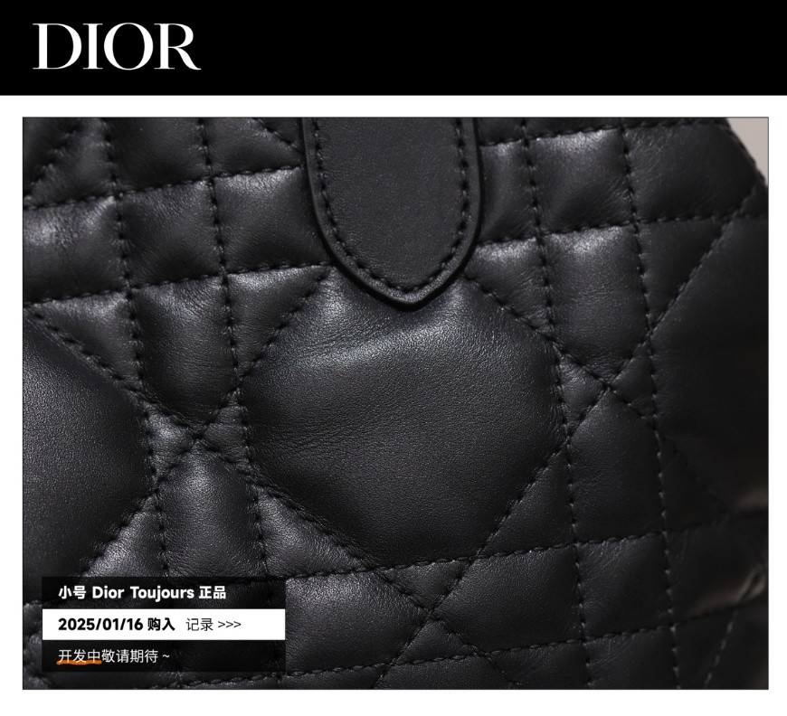 Shebag Super replica Dior Toujours bag details research(August 2025 updated)-Интернет-магазин поддельной сумки Louis Vuitton лучшего качества, копия дизайнерской сумки ru