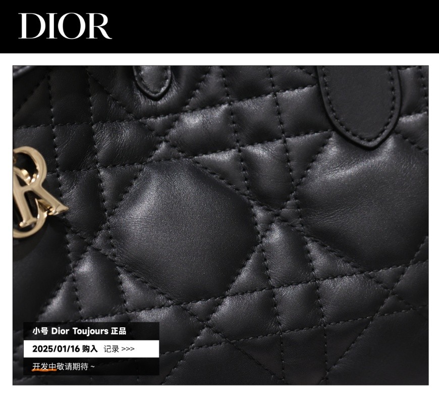Shebag Super replica Dior Toujours bag details research(August 2025 updated)-Интернет-магазин поддельной сумки Louis Vuitton лучшего качества, копия дизайнерской сумки ru
