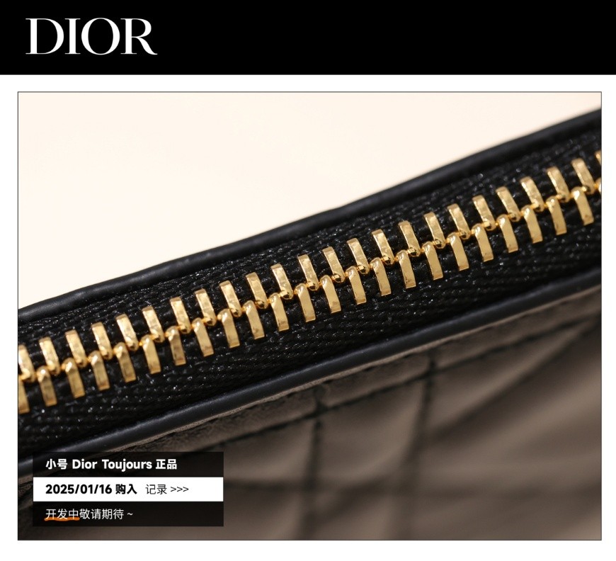 Shebag Super replica Dior Toujours bag details research(August 2025 updated)-Интернет-магазин поддельной сумки Louis Vuitton лучшего качества, копия дизайнерской сумки ru